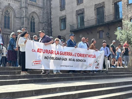 A group of around 50 people holding banners and signs during a protest in Pla de la Seu, Barcelona, with the Barcelona Cathed