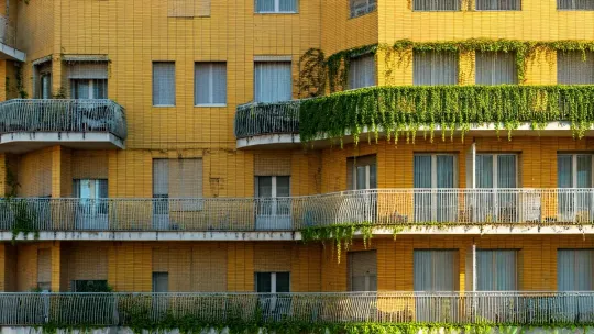 Barcelona Transforms Party Walls into Green Facades