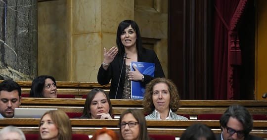 Catalan Parliament Debates PSC-Aliança Ripoll Pact
