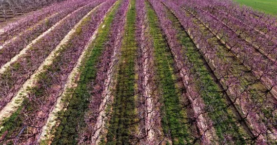 Catalonia Greets Spring After Record- Rainy Winter