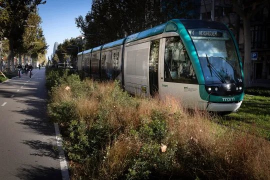 A modern tram travelling along Avinguda Diagonal in Barcelona, with city buildings and trees in the background.