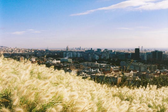 Photo by Masi on Pexels