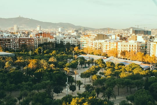 Photo by Regina Pivetta on Pexels