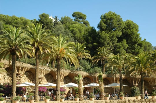 Photo by Alfred Franz on Pexels