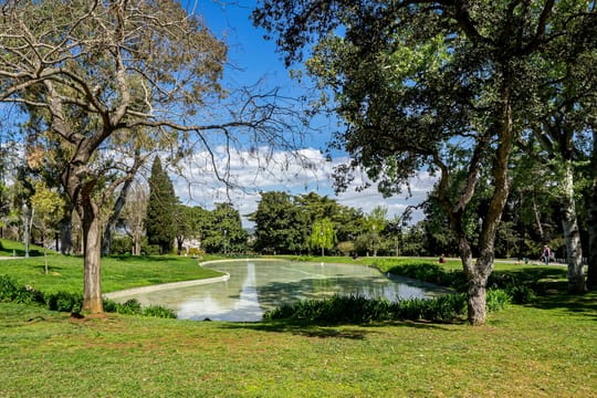 Photo by Manuel Torres Garcia on Pexels