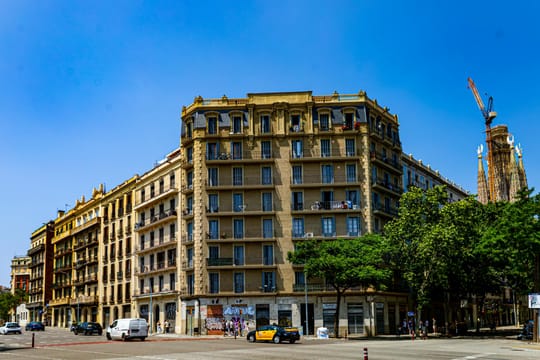 Photo by Regan Dsouza on Pexels