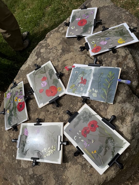 Made My Dia: a sunprint day in Cardedeu, near Montseny