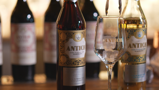 A bottle of Antich vermouth with a classic label, set against a blurred background of a traditional Barcelona bar interior.