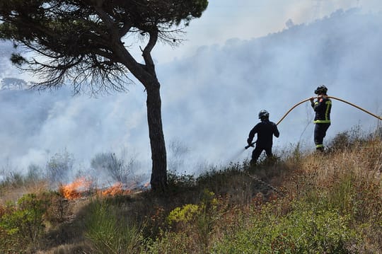 Man arrested after Tiana wildfire prompts lockdowns