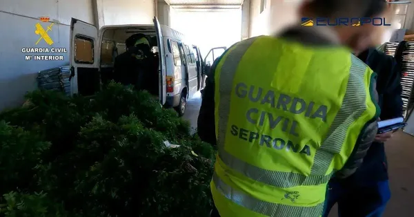 Ten Arrested in Catalan ‘green Gold’ Smuggling Ring