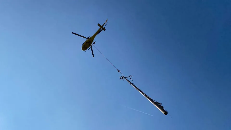 Collserola Gets Fibreglass Poles After Woodpecker Attacks
