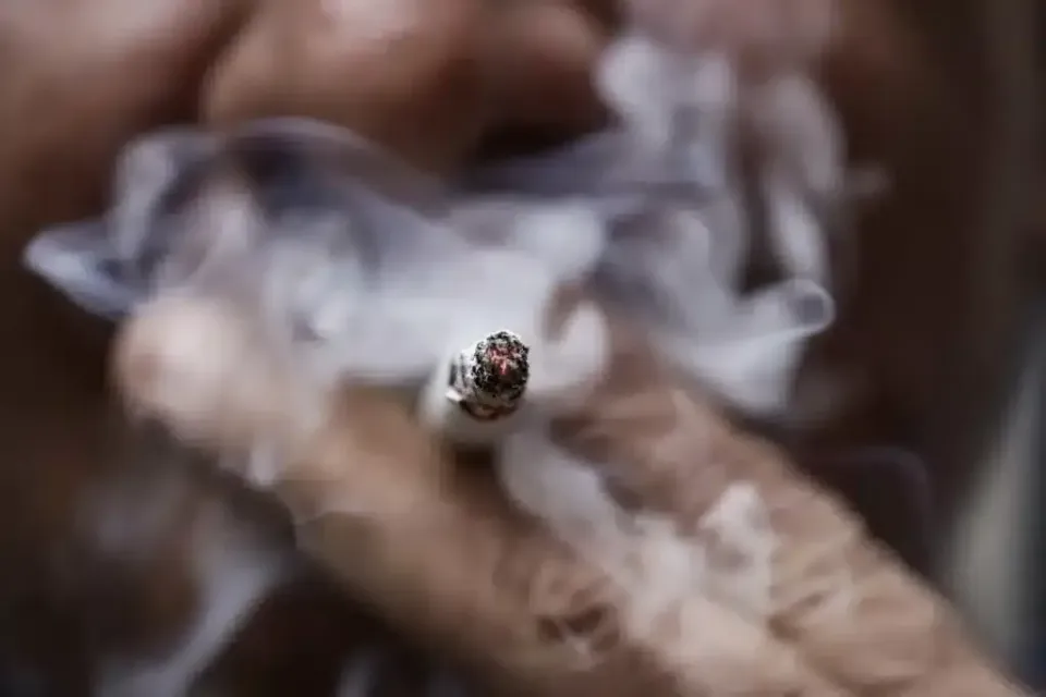 Catalan Teens Shun Vices for Digital Addiction