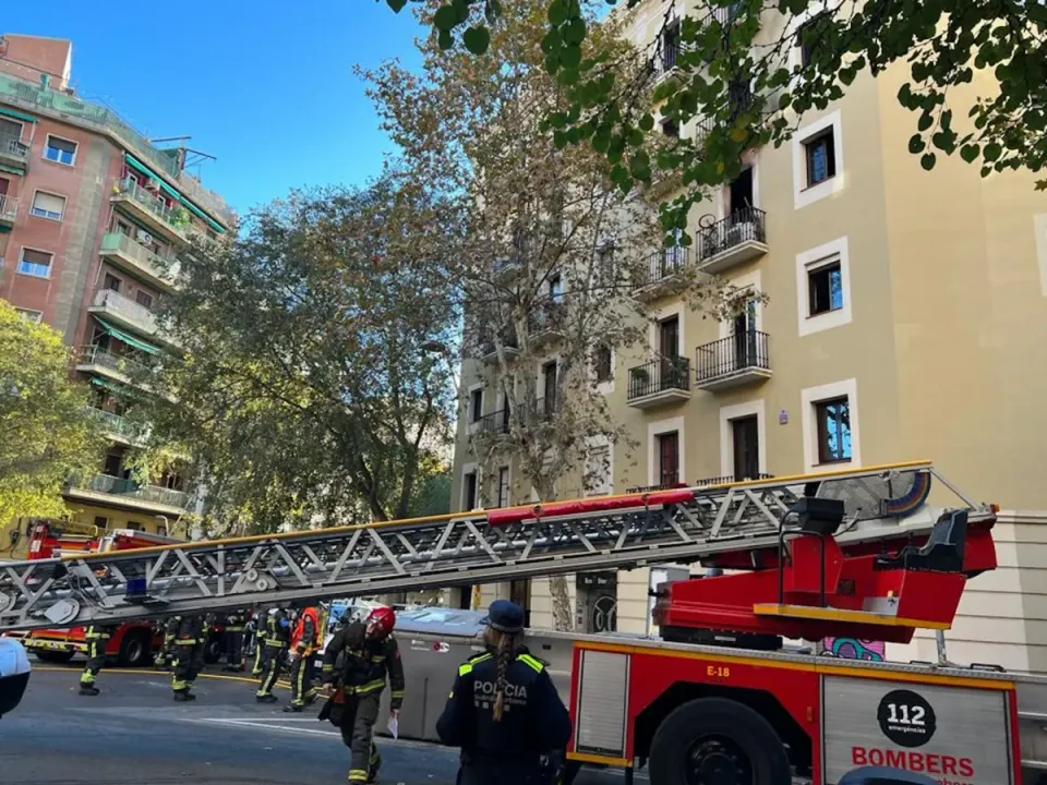 Motorcyclist Dies in Zona Franca; 4th Traffic Death in 2026