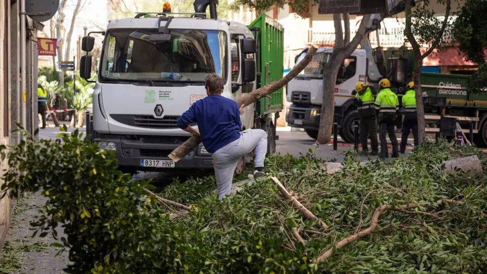 Barcelona Windstorm: Woman Dies After Roof Collapse Amid Severe Gales