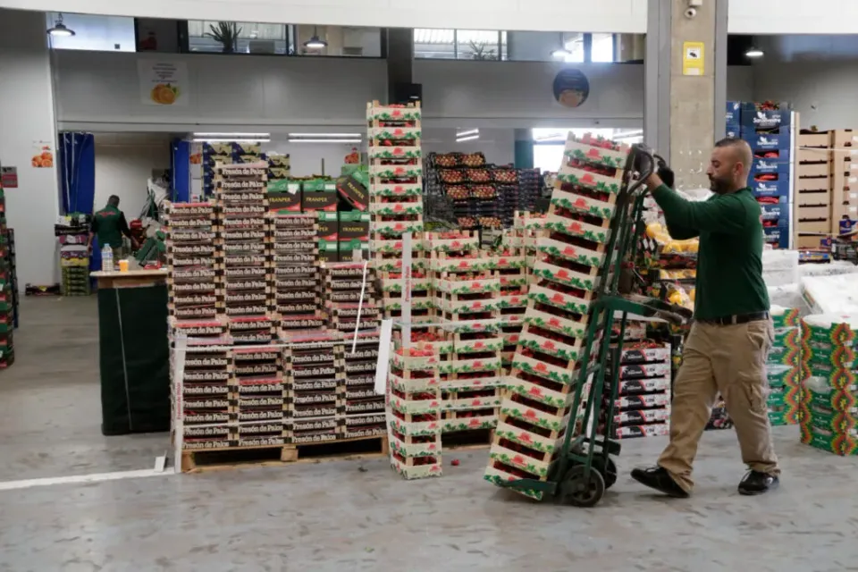 Catalan Government Subsidies Boost Business Language Use