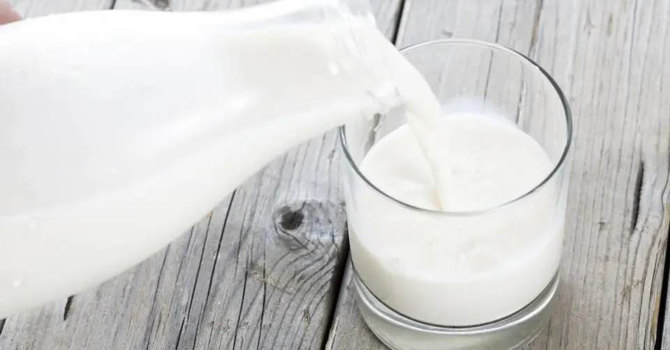 China Imposes EU Dairy Tariffs Up To 42.7%