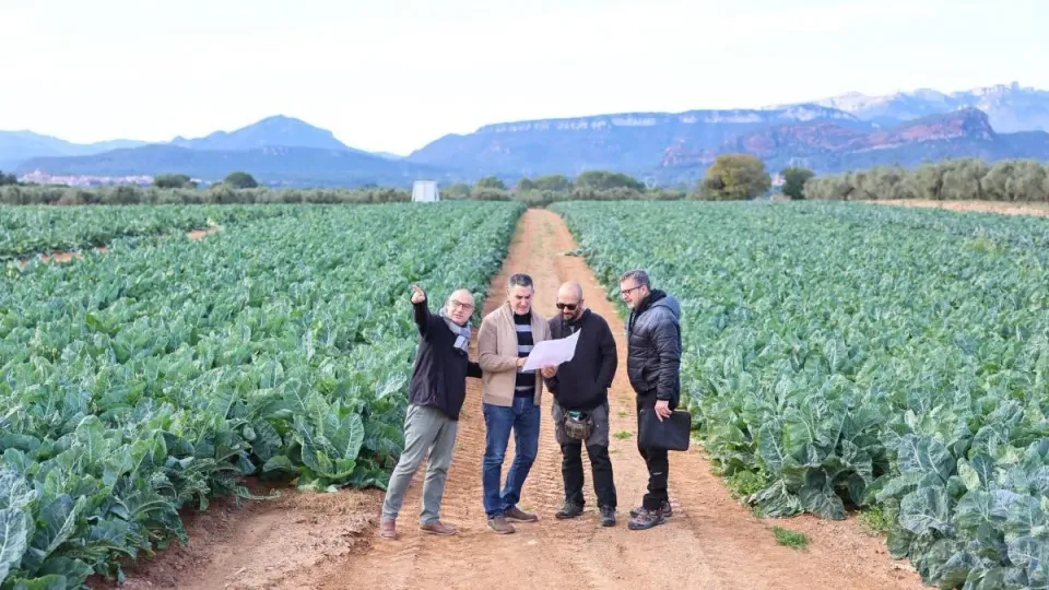 Baix Camp Wind Farm Plan Faces Local Opposition in Catalonia