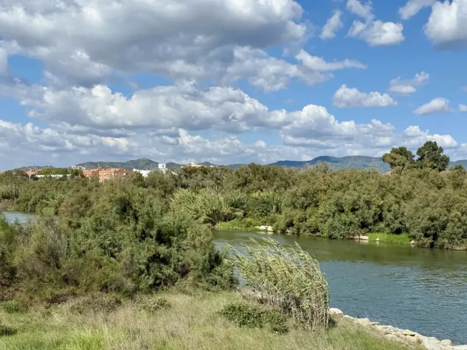 Besòs Estuary Restoration to Create New Lagoons and Revive Wildlife by 2028