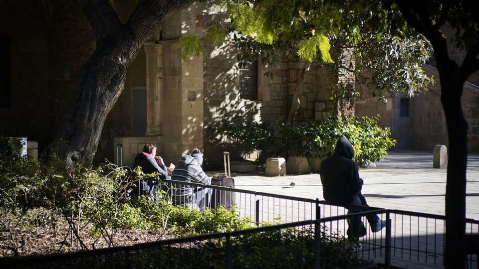 Barcelona Ombudsman Urges Action on Neglected Gardens