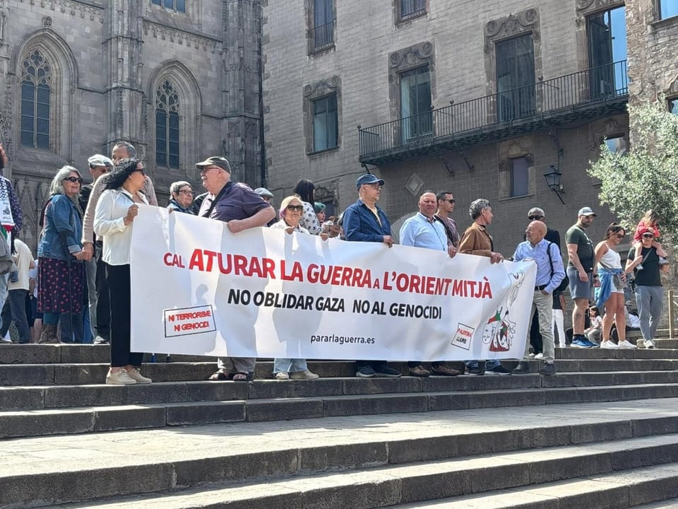 A group of around 50 people holding banners and signs during a protest in Pla de la Seu, Barcelona, with the Barcelona Cathed