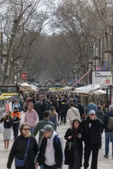 Barcelona’s Climate Plan Replaces Iconic Plane Trees