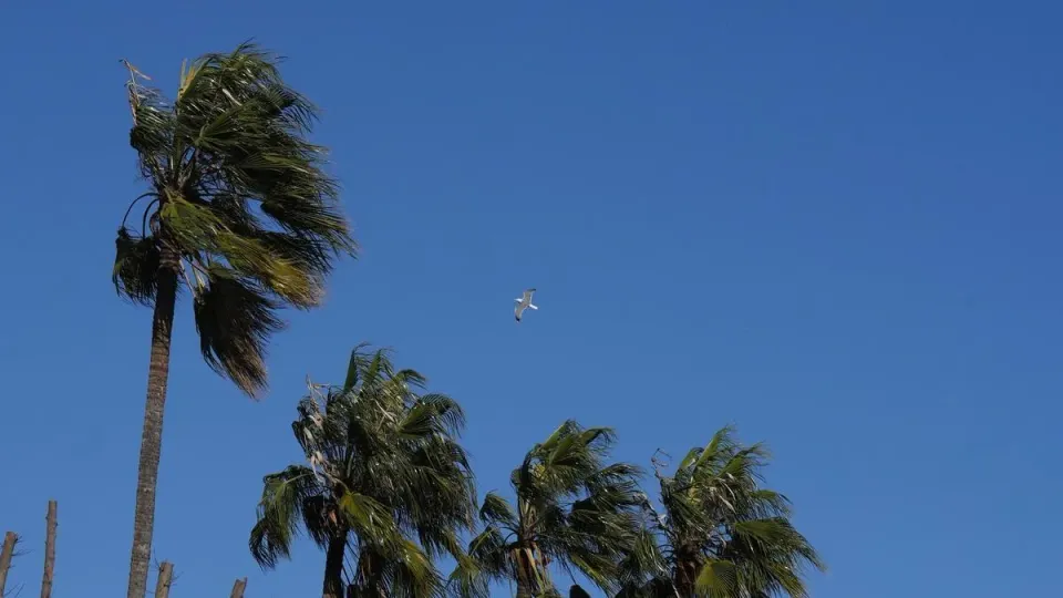 A weather map showing temperature changes over Catalonia, with wind icons indicating strong gusts.