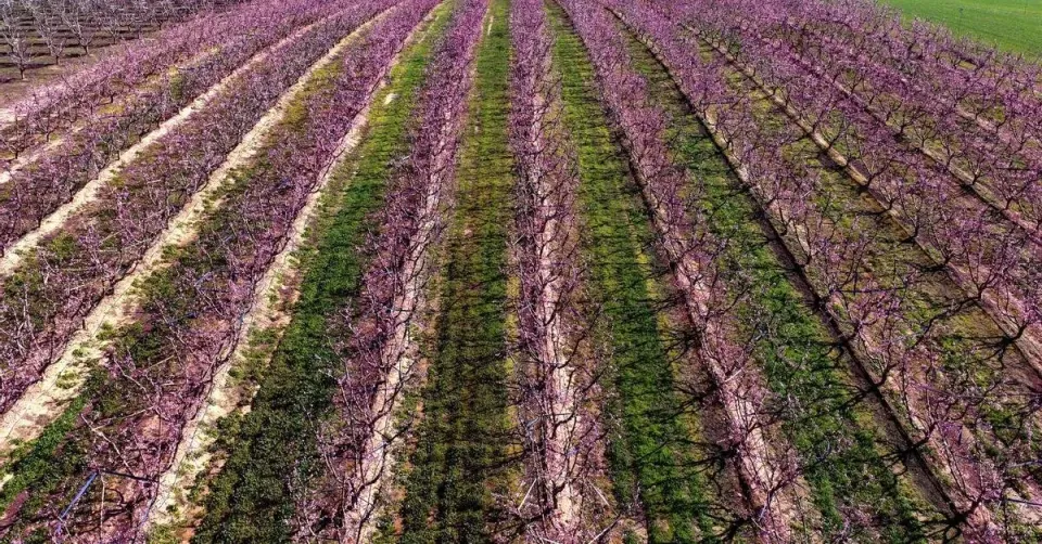 Catalonia Greets Spring After Record- Rainy Winter