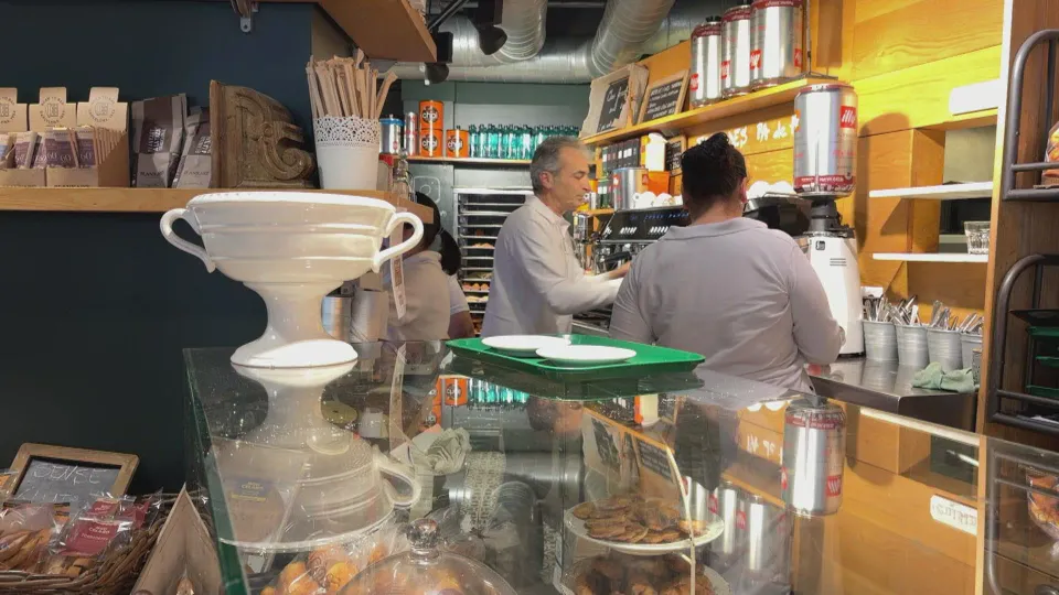 A colourful shop shutter on Avinguda de Gaudí, Barcelona, featuring an animal design inspired by Gaudí and text about the sho