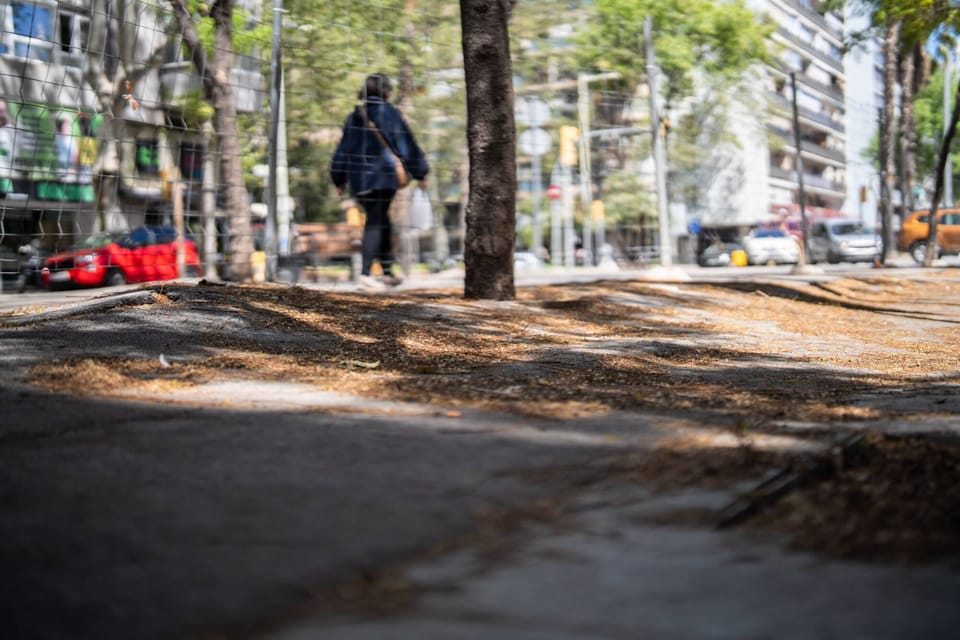 Cracks and uneven pavement on Rambla Guipúscoa in Barcelona, with a fenced-off area and trees.