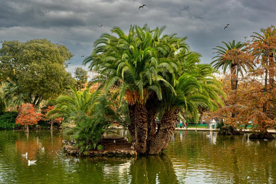 Photo by Manuel Torres Garcia on Pexels