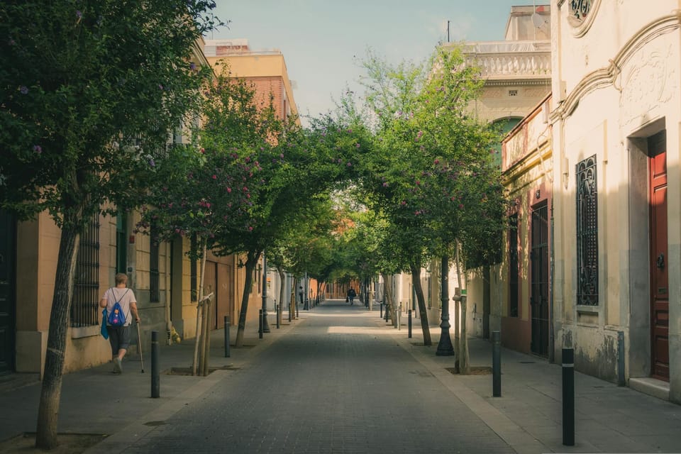 Photo by Masi on Pexels