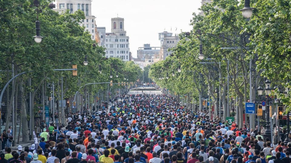 Runners participating in a large race on a wide city street in Barcelona, with buildings and spectators in the background.