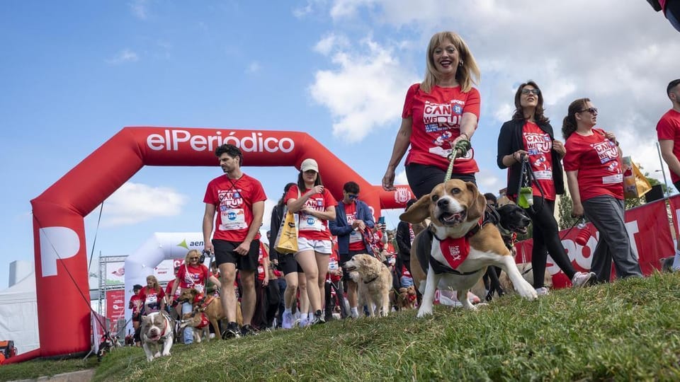 Dogs and their owners running along the Besòs River during the Can We Run event in Santa Coloma de Gramenet.
