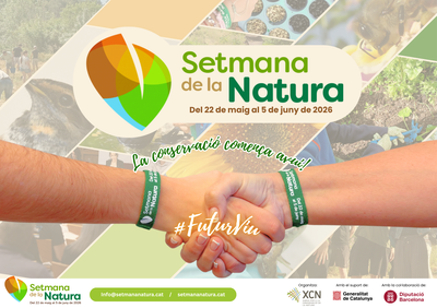 Green urban park with trees and walking paths in Mataró, illustrating urban nature and sustainability efforts.