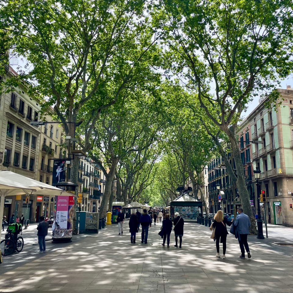 La Rambla's Online Reputation Rises to 8.64/10